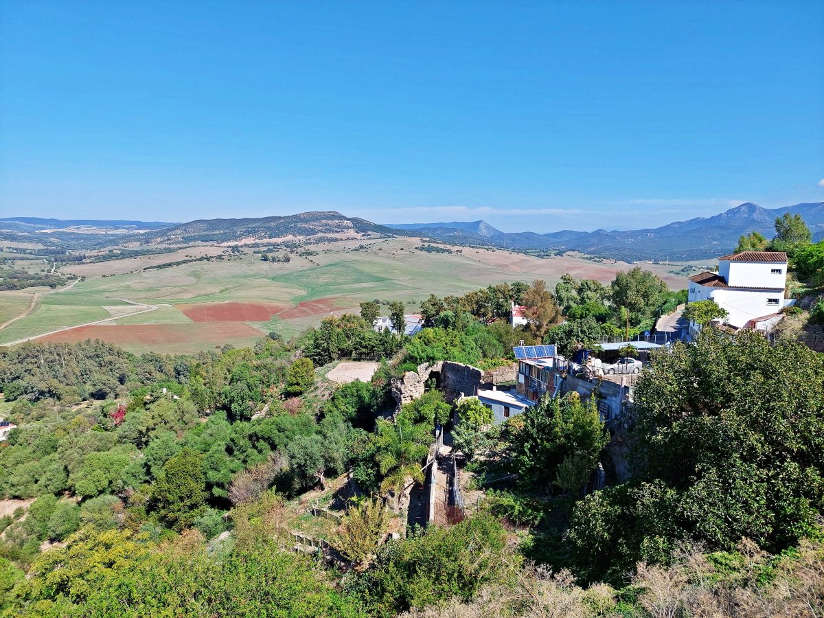 Andaluz Homes