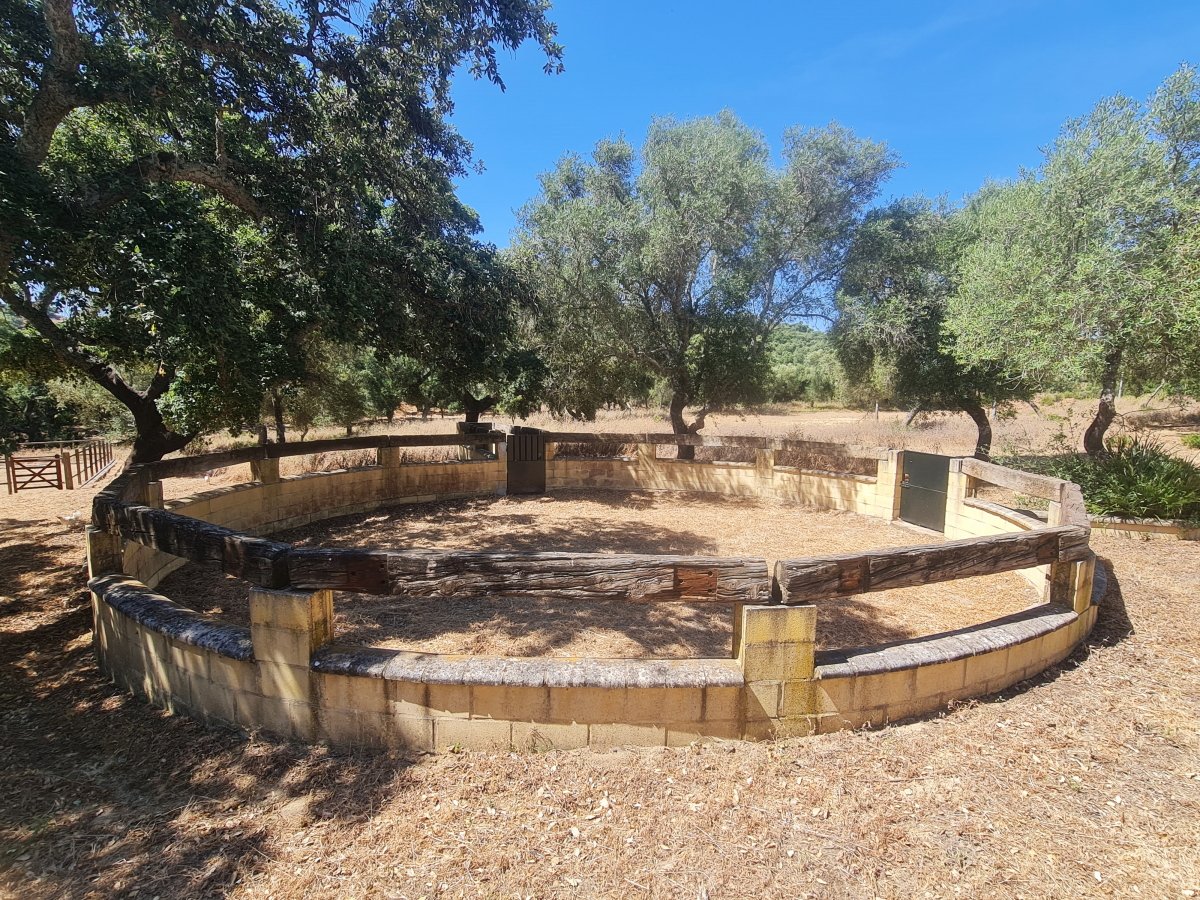 Andaluz Homes