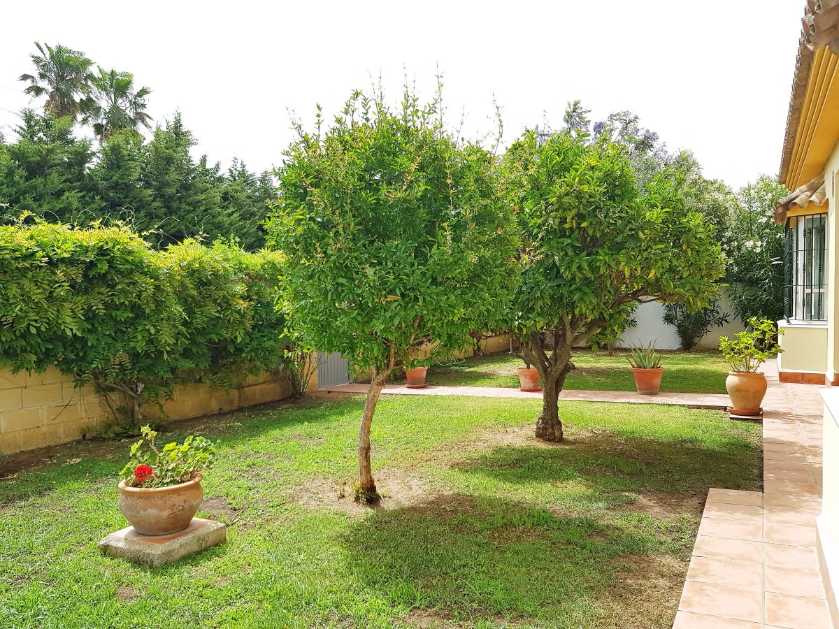 Andaluz Homes