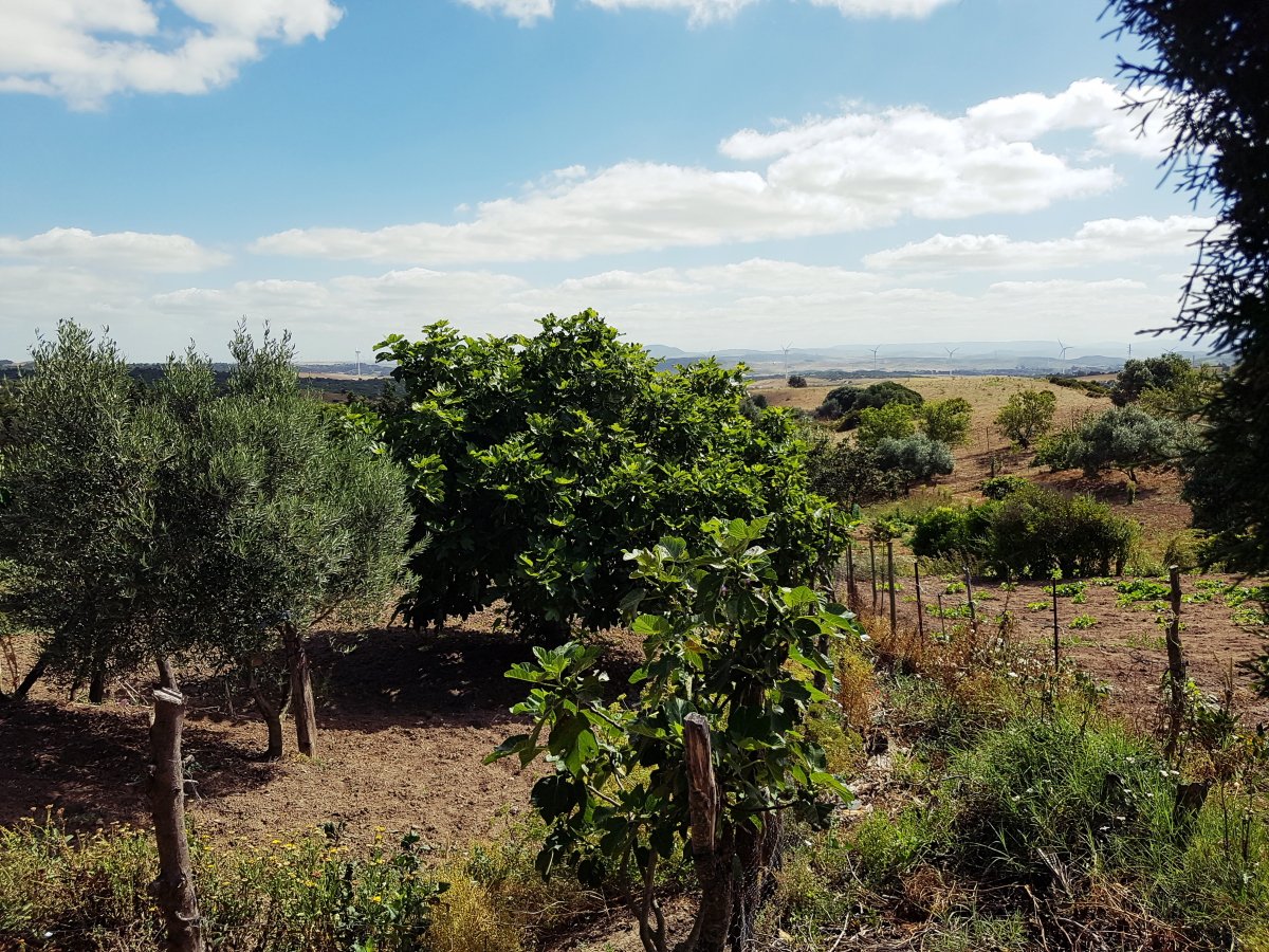 Andaluz Homes