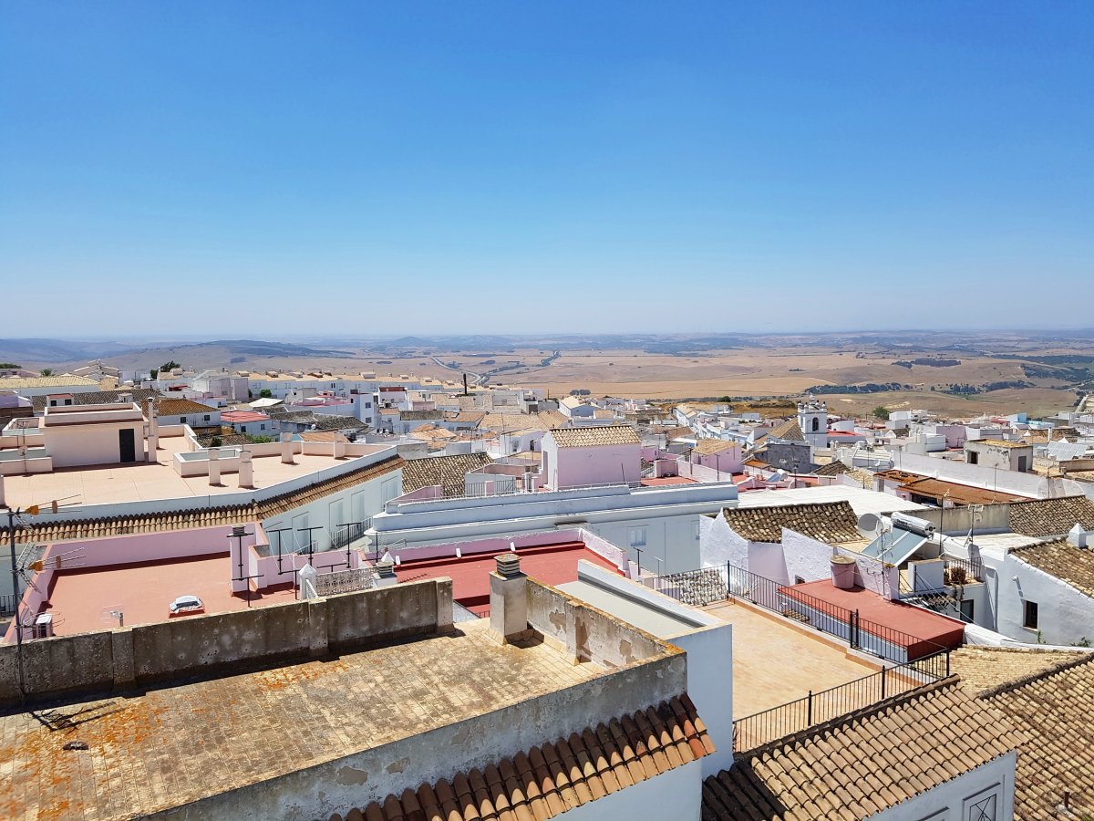 Andaluz Homes