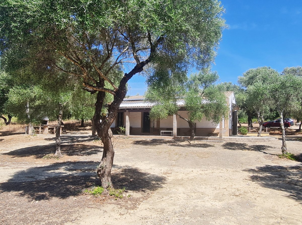 Andaluz Homes