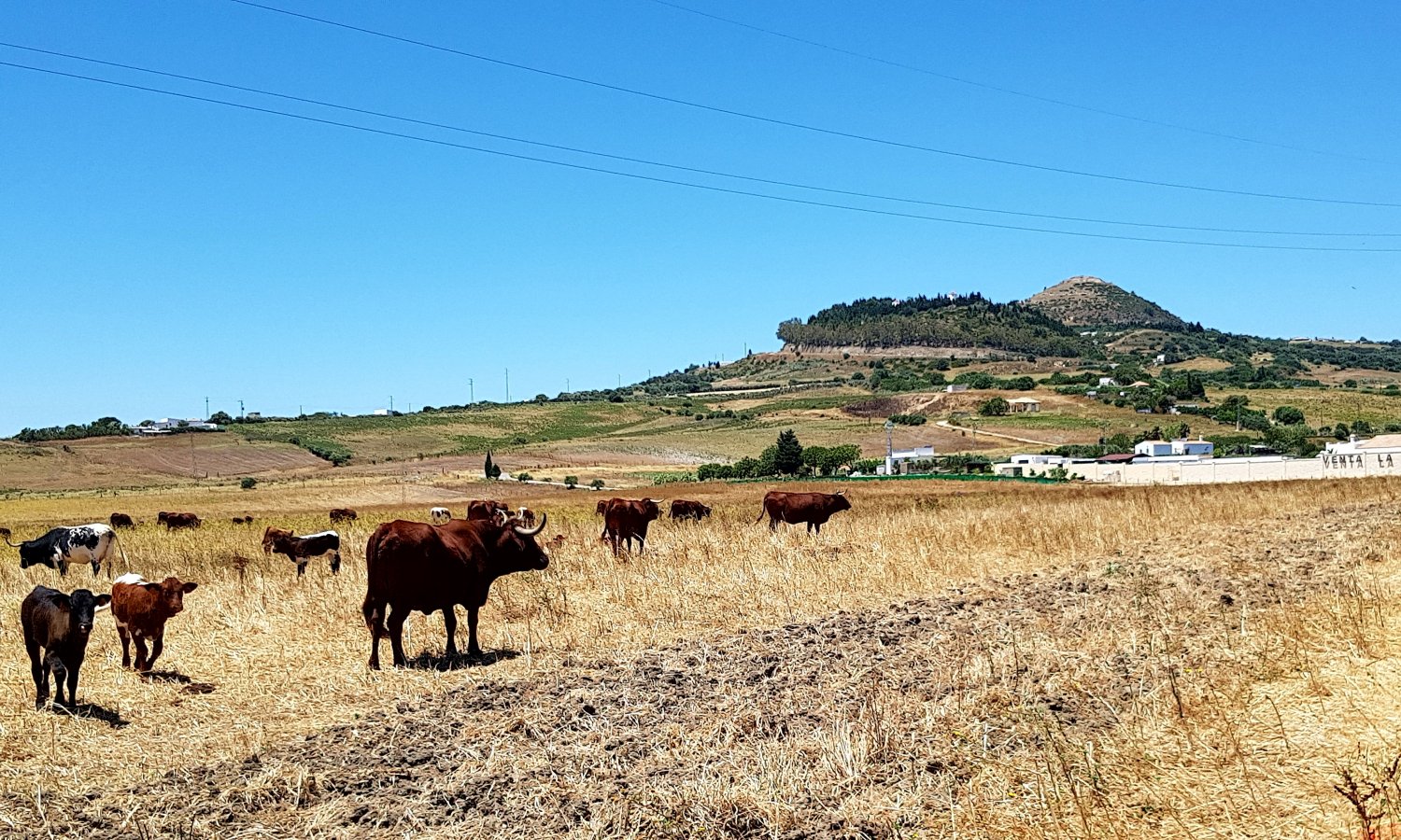 Andaluz Homes
