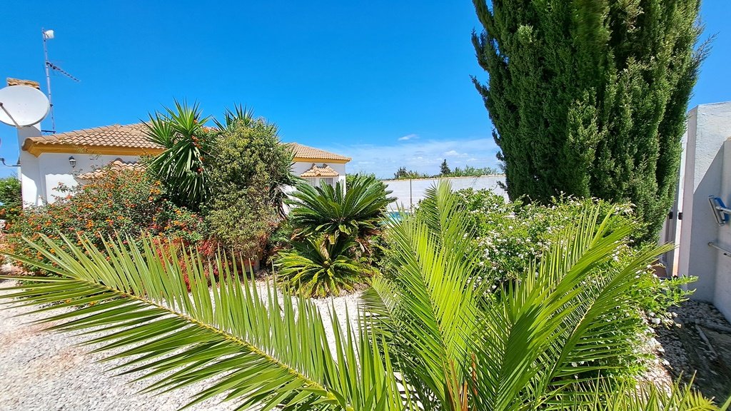 Andaluz Homes