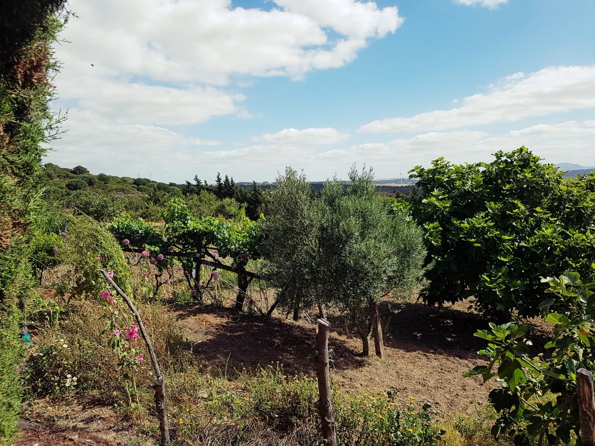 Andaluz Homes