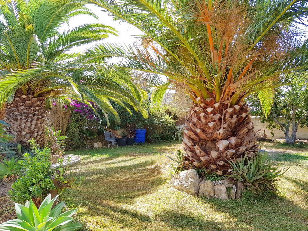 Andaluz Homes