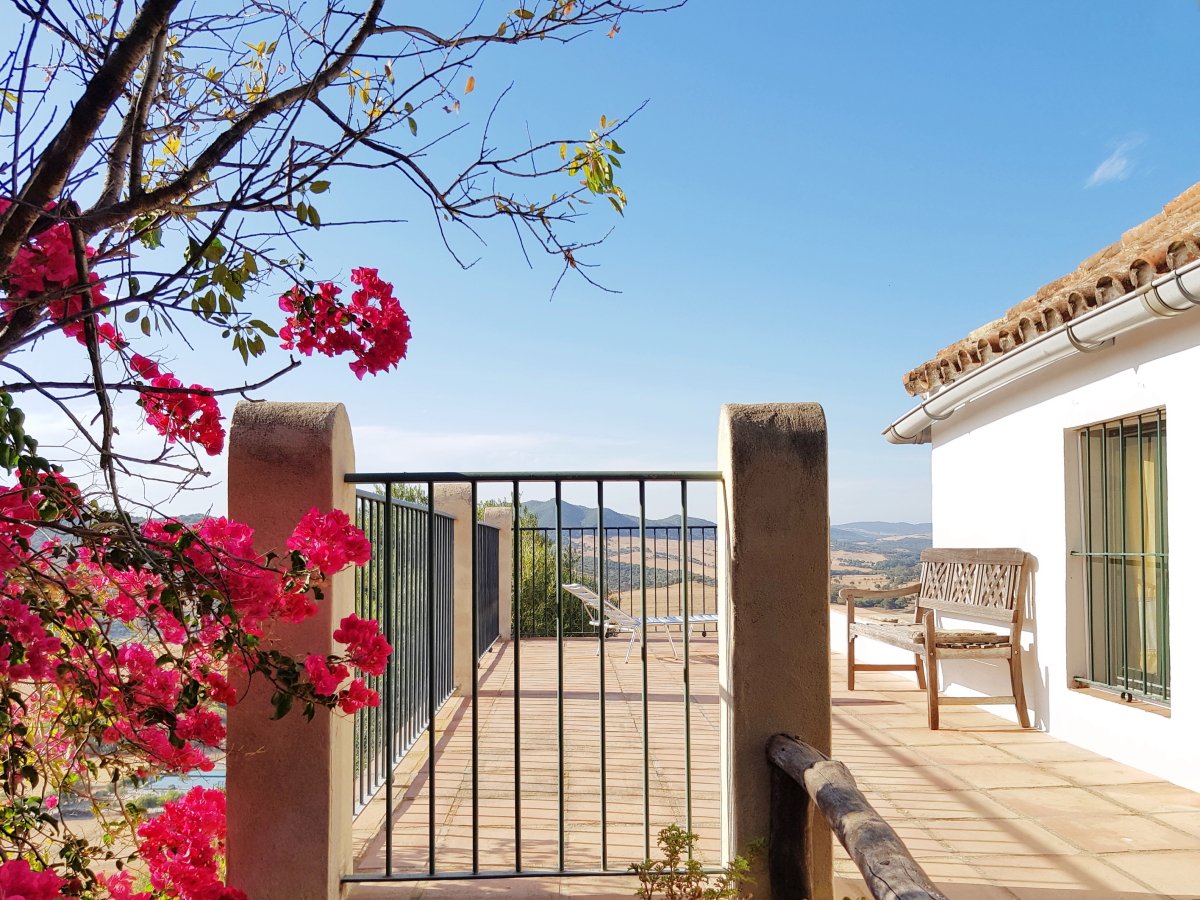 Andaluz Homes