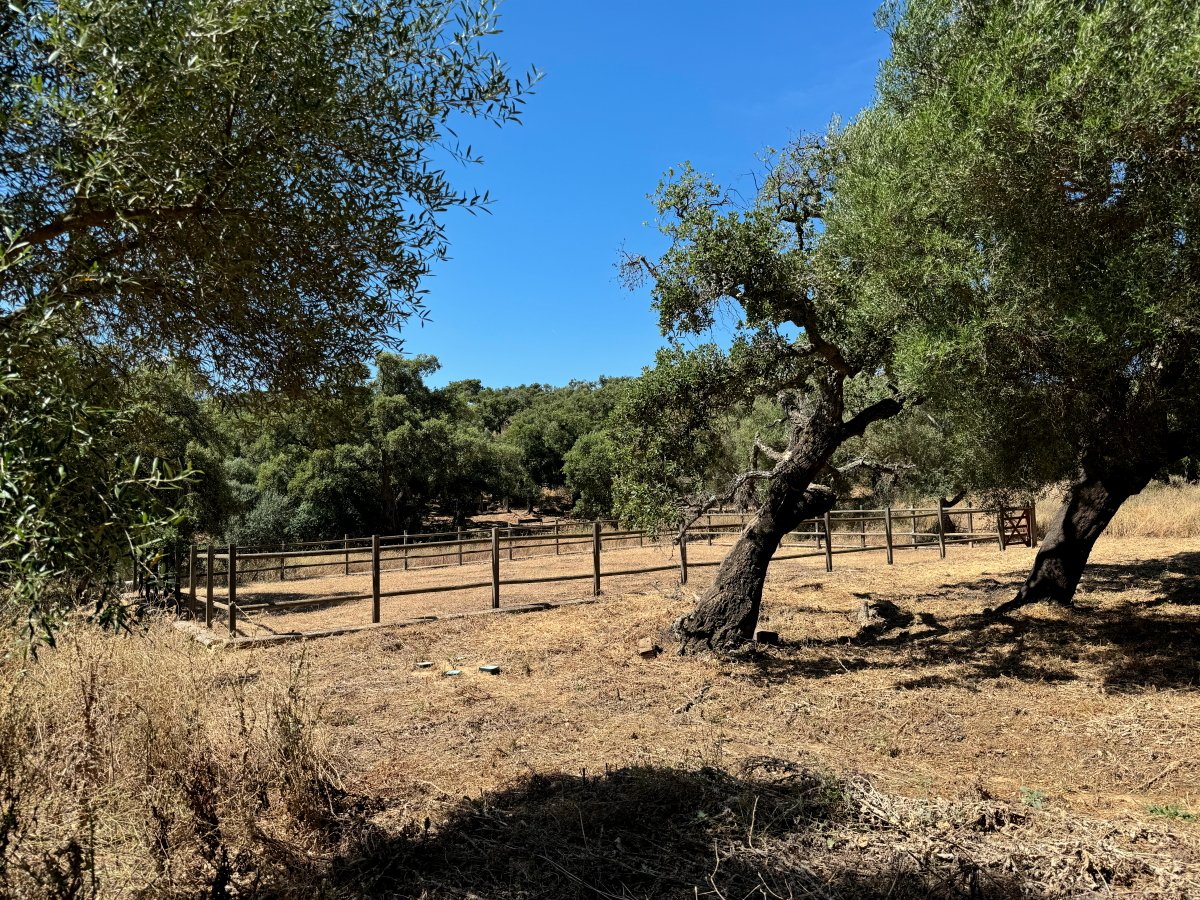 Andaluz Homes