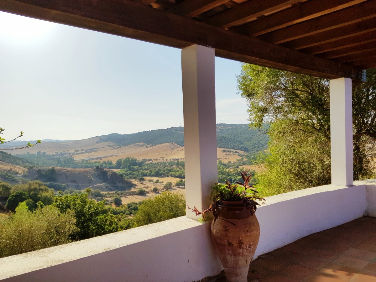 Andaluz Homes