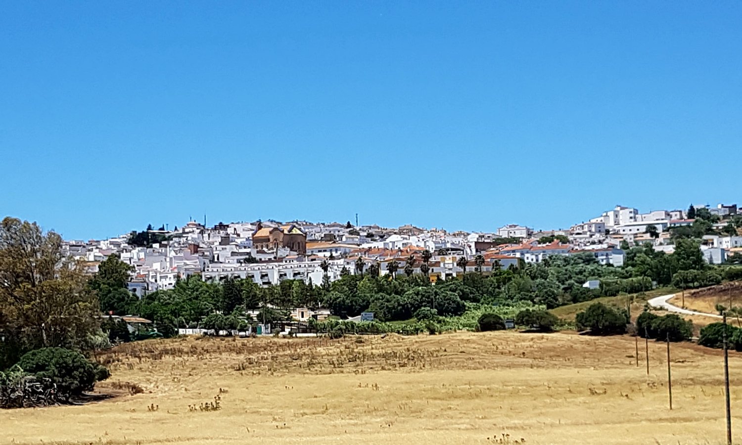 Andaluz Homes