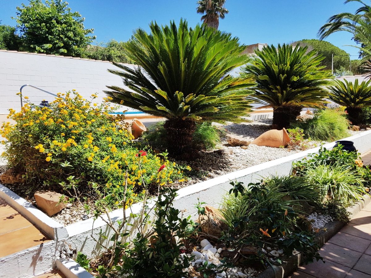 Andaluz Homes