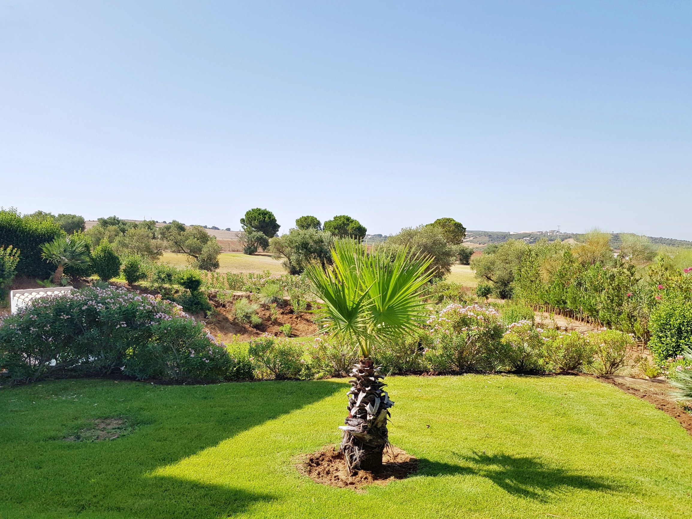 Andaluz Homes