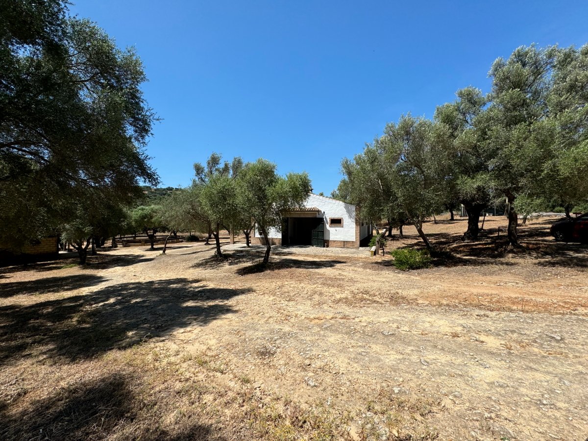 Andaluz Homes