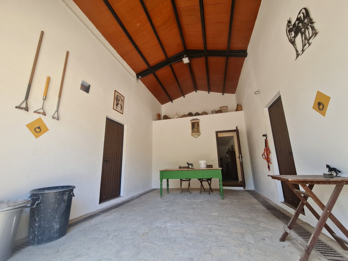 Andaluz Homes