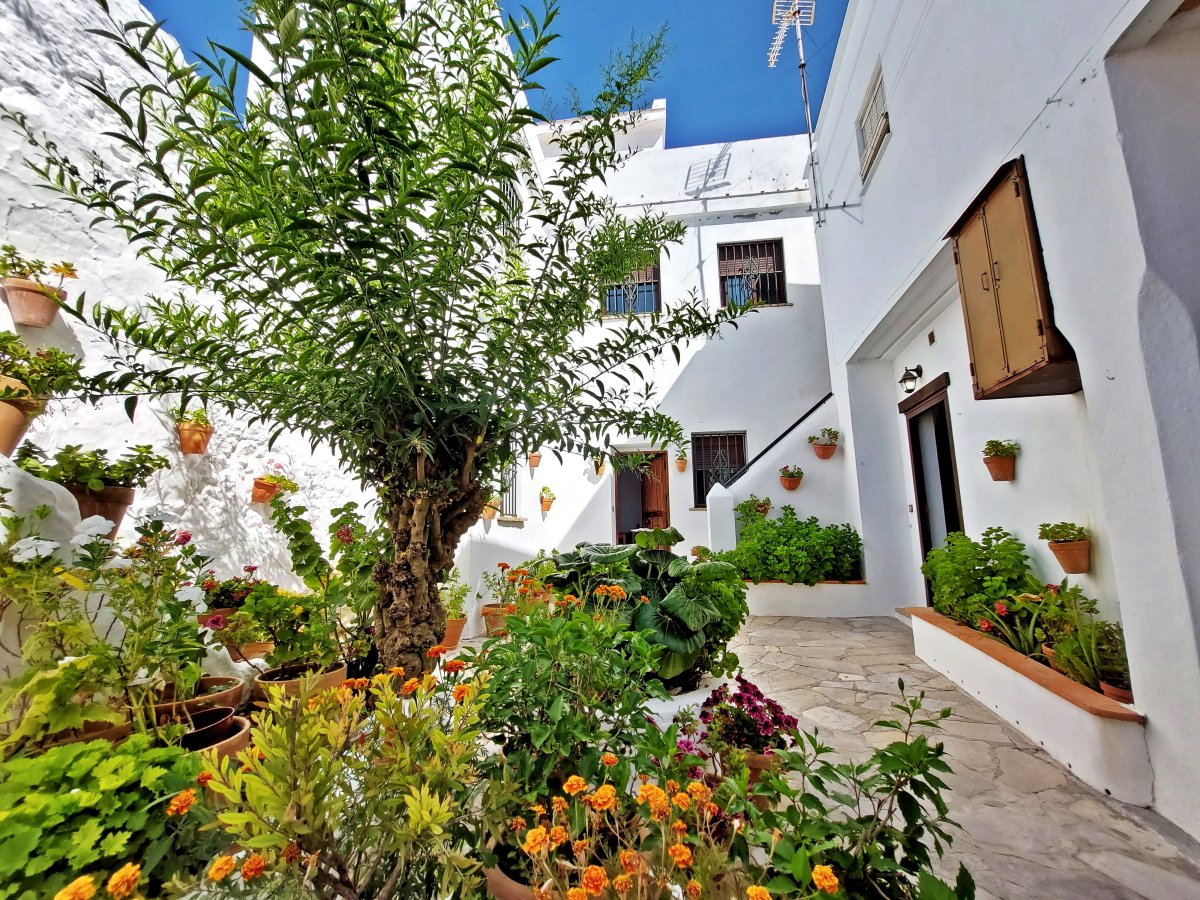 Andaluz Homes