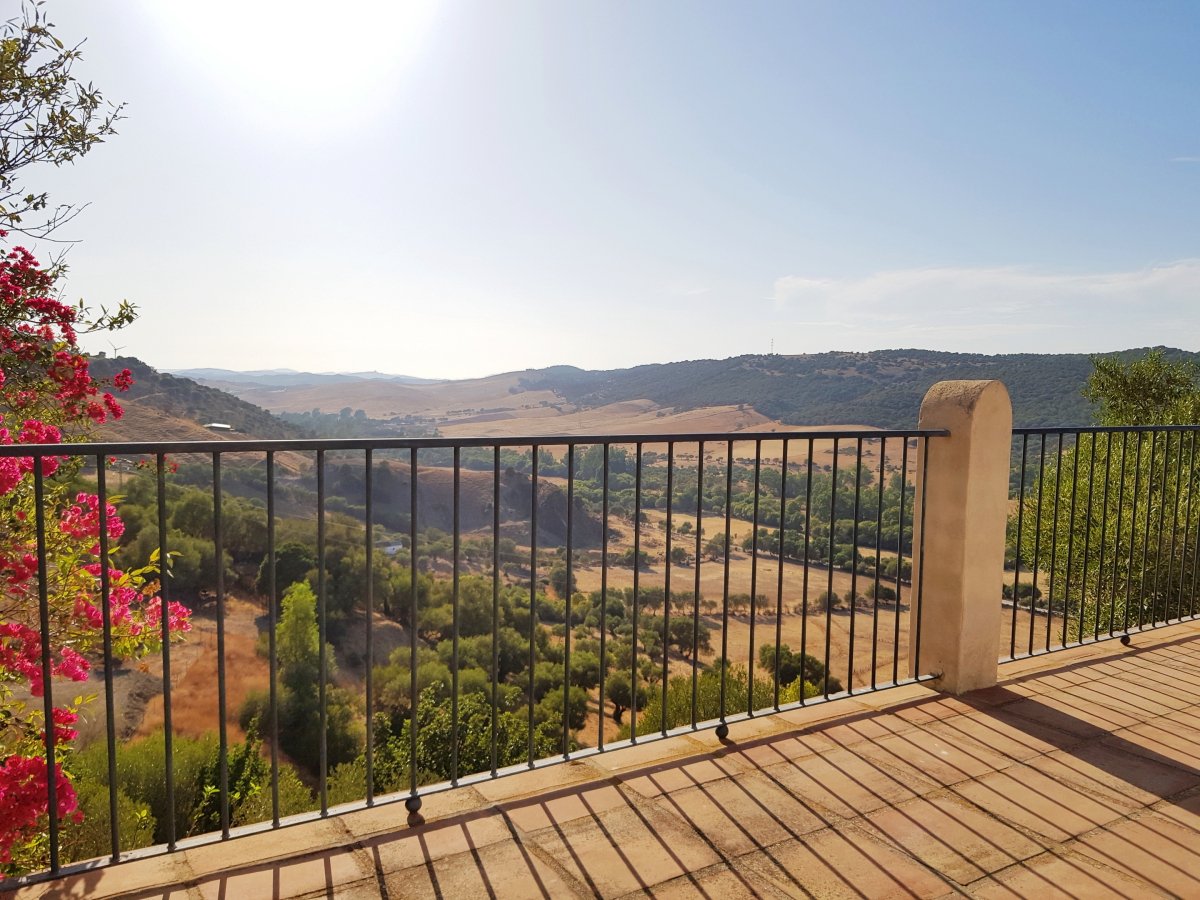 Andaluz Homes