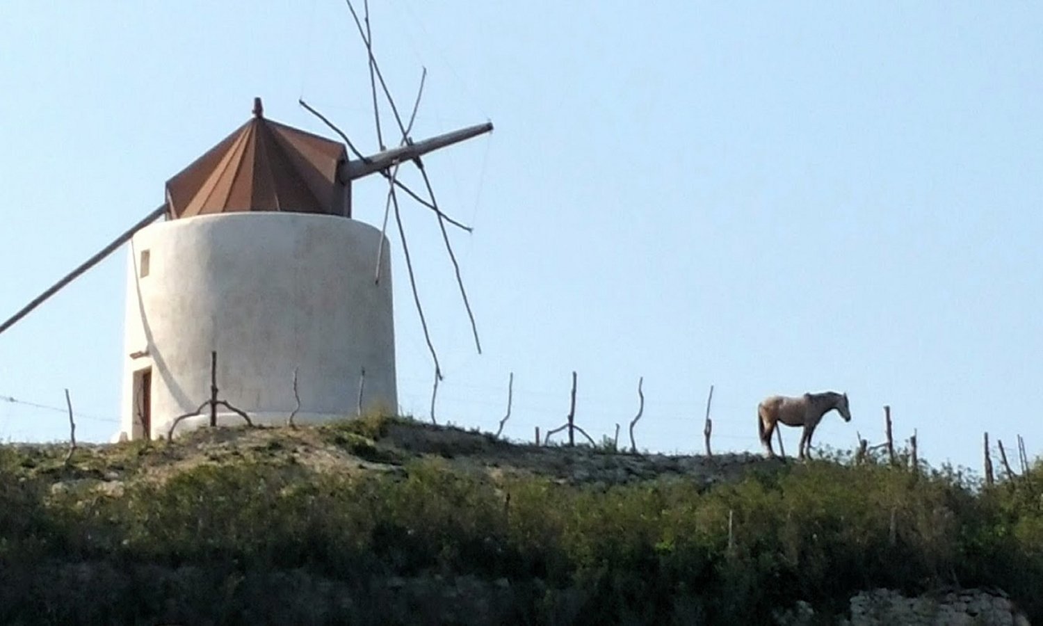 Andaluz Homes