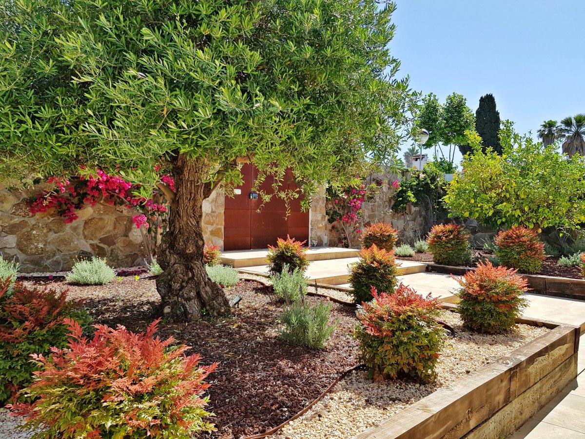Andaluz Homes