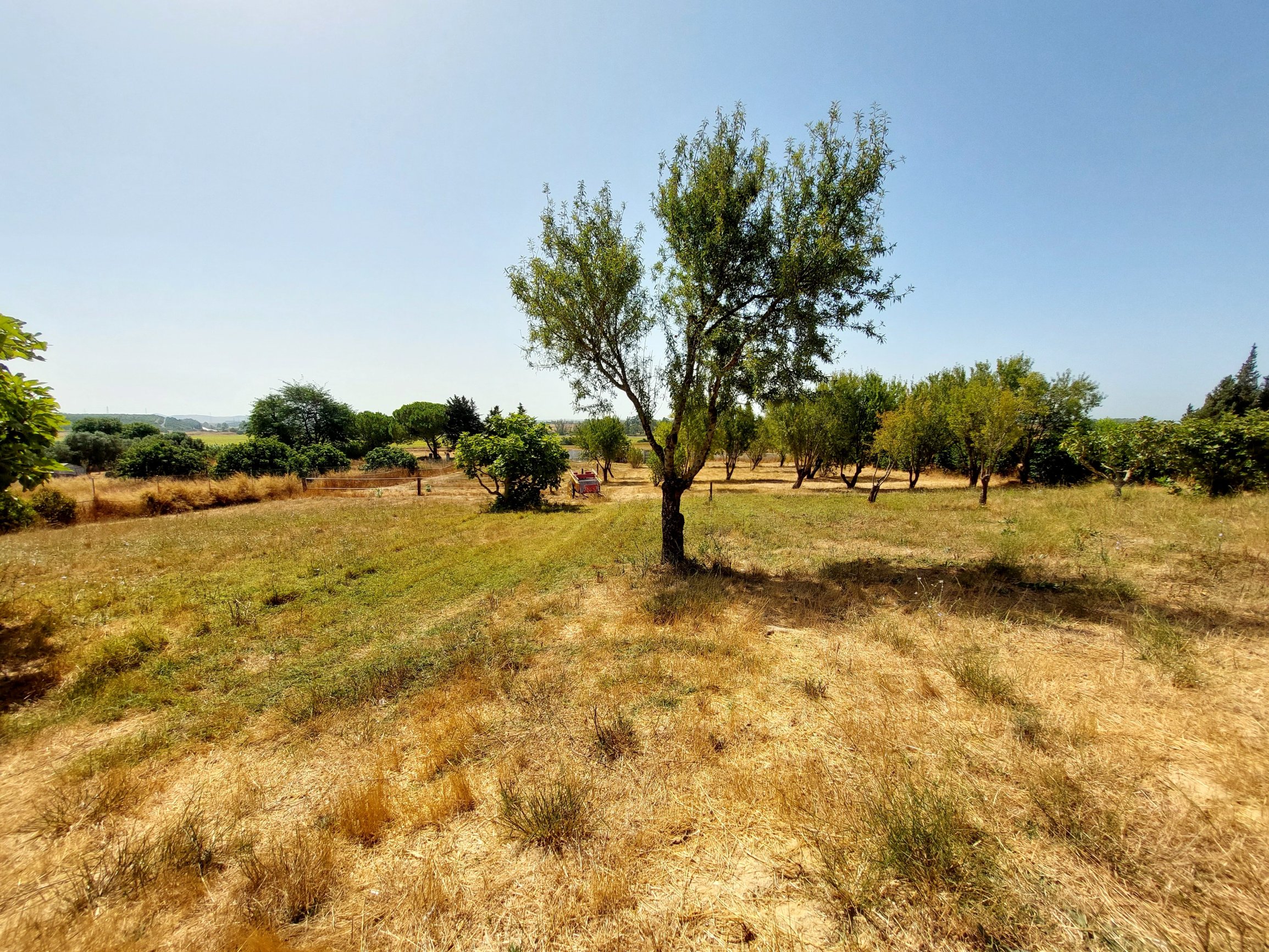 Andaluz Homes