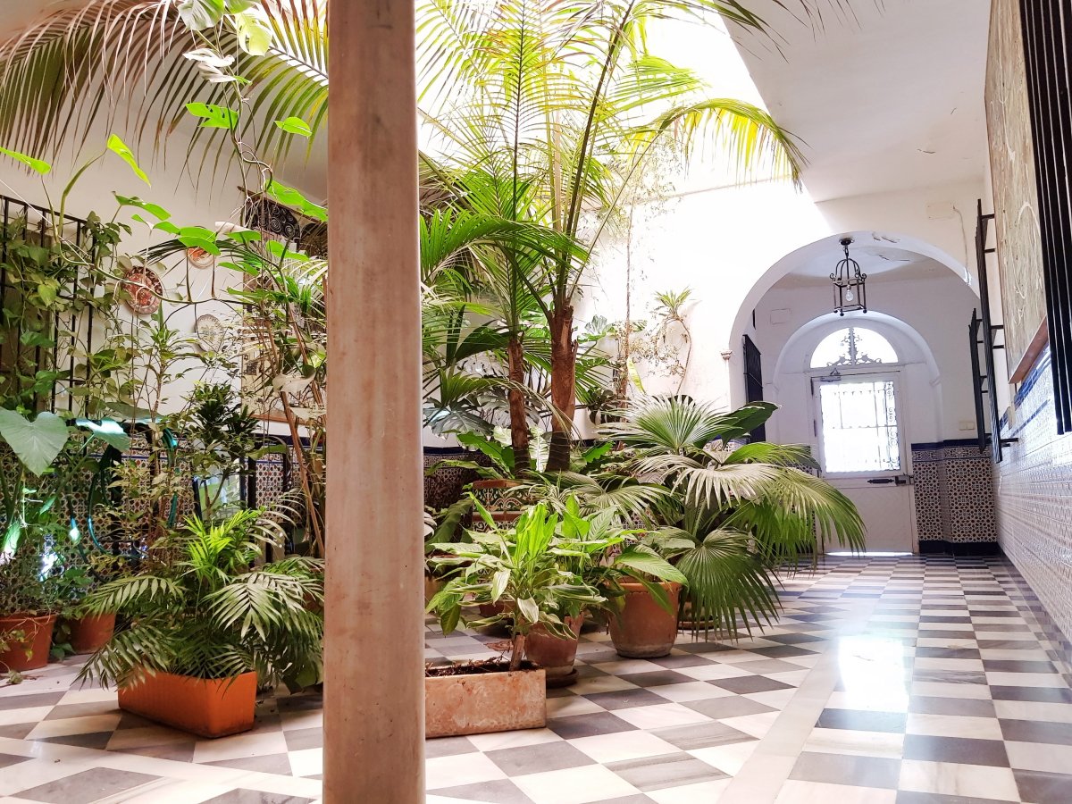 Andaluz Homes