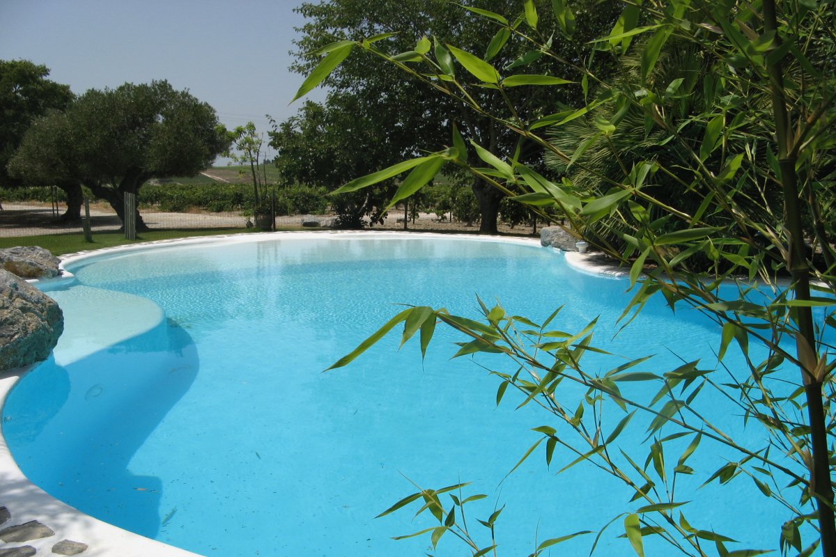 Andaluz Homes