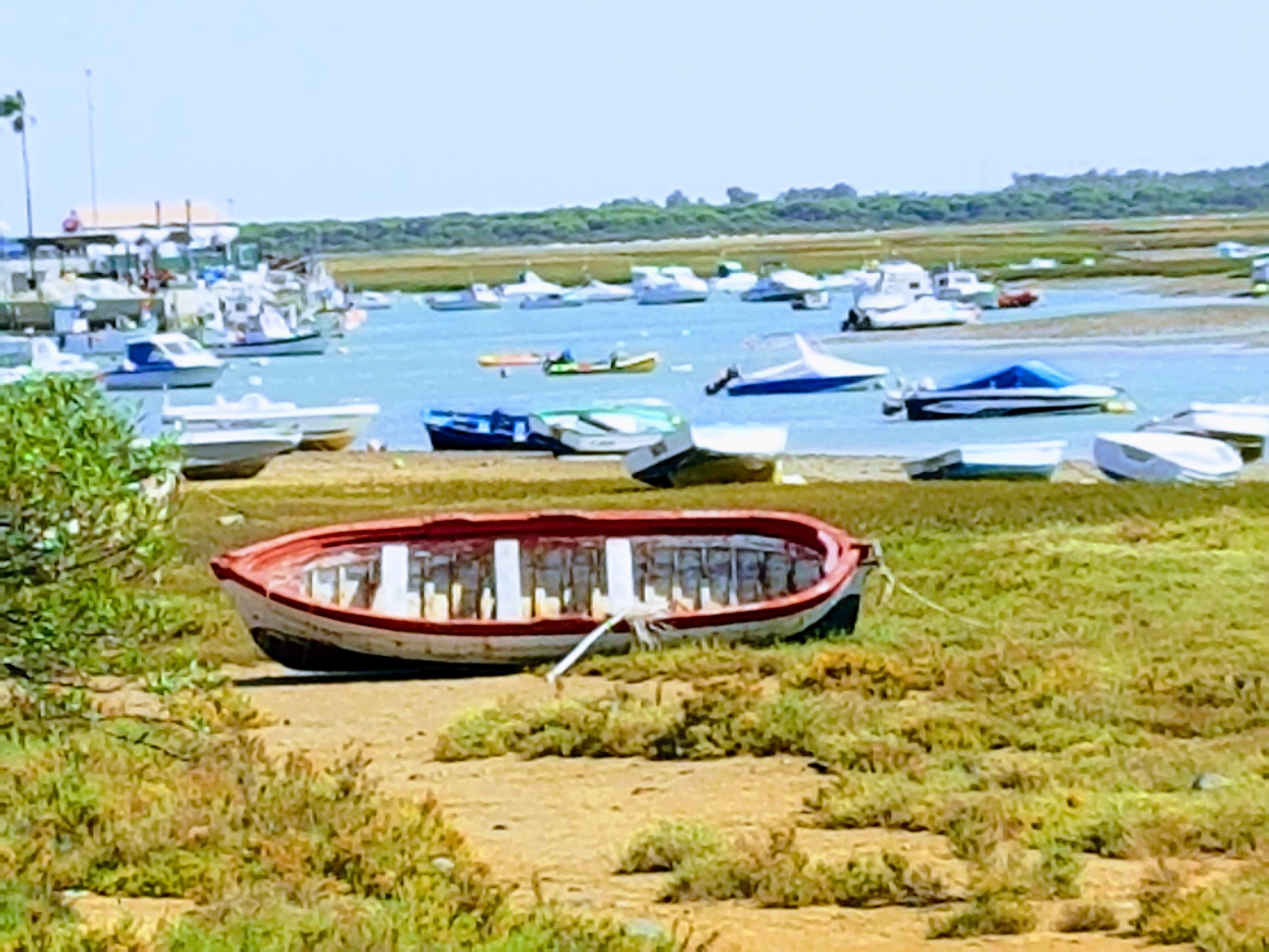 Andaluz Homes