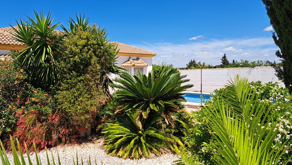 Andaluz Homes