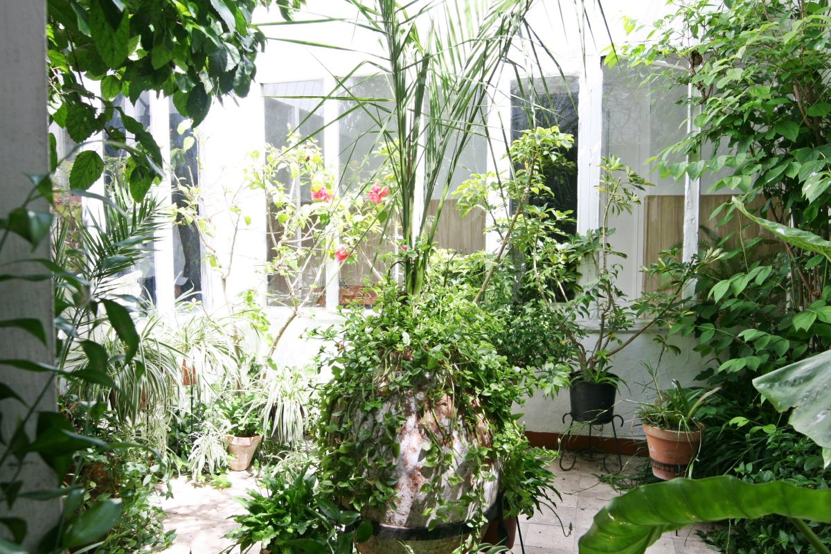 Andaluz Homes