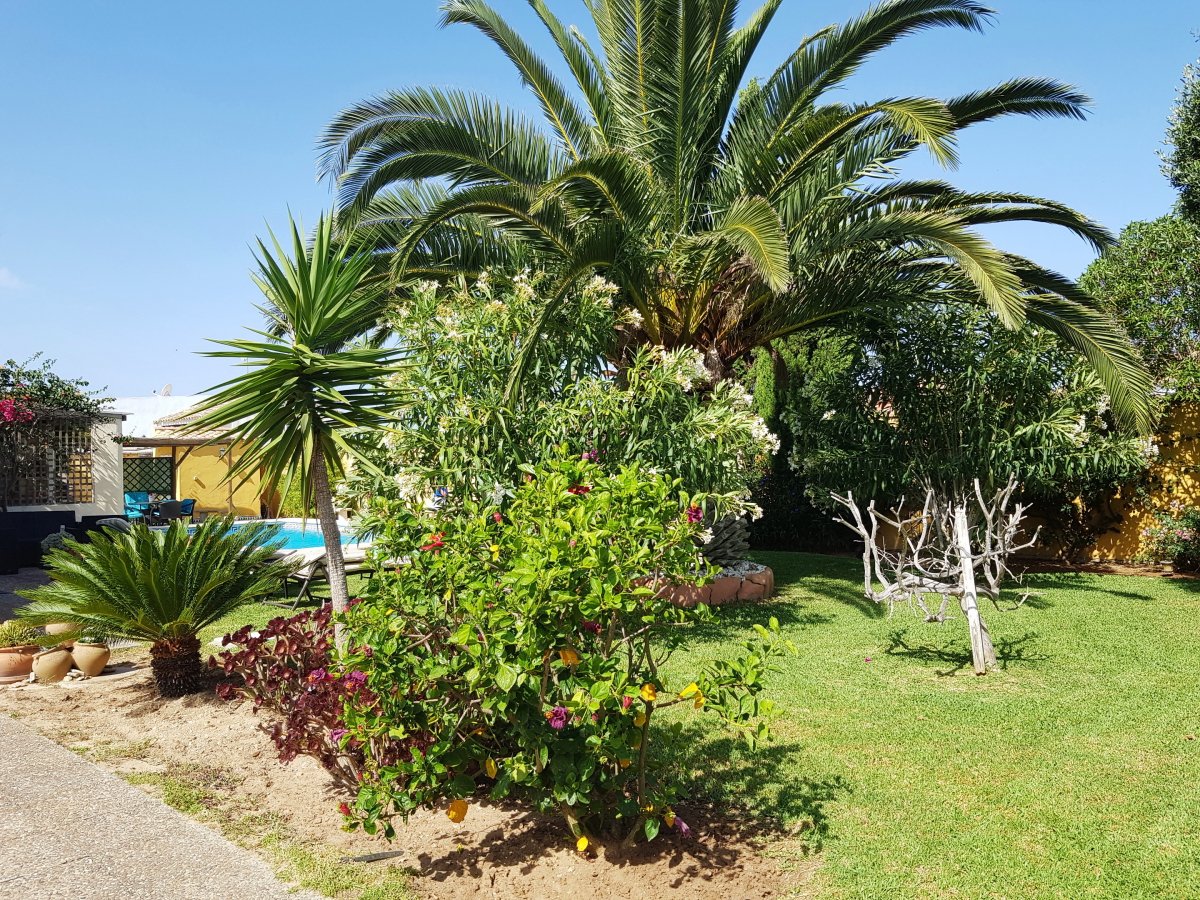 Andaluz Homes