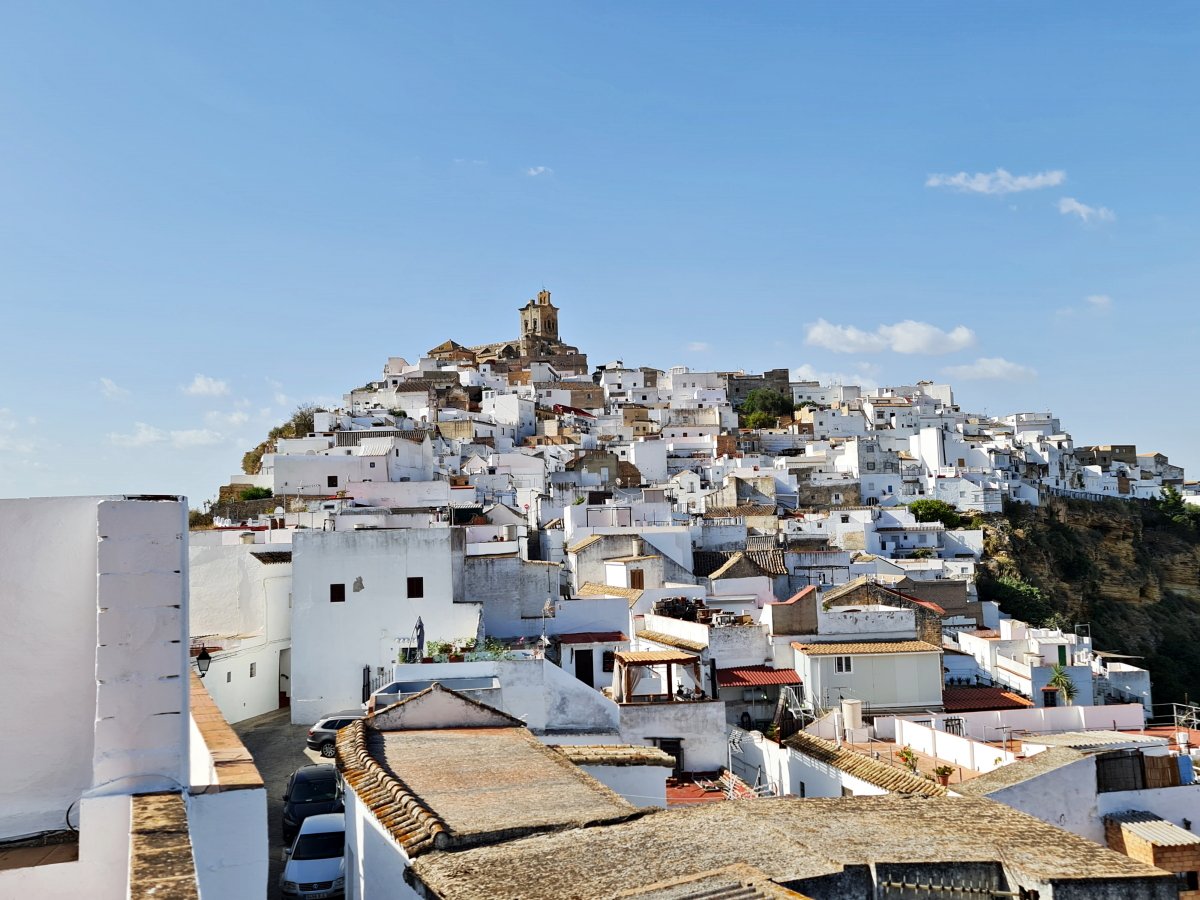 Andaluz Homes