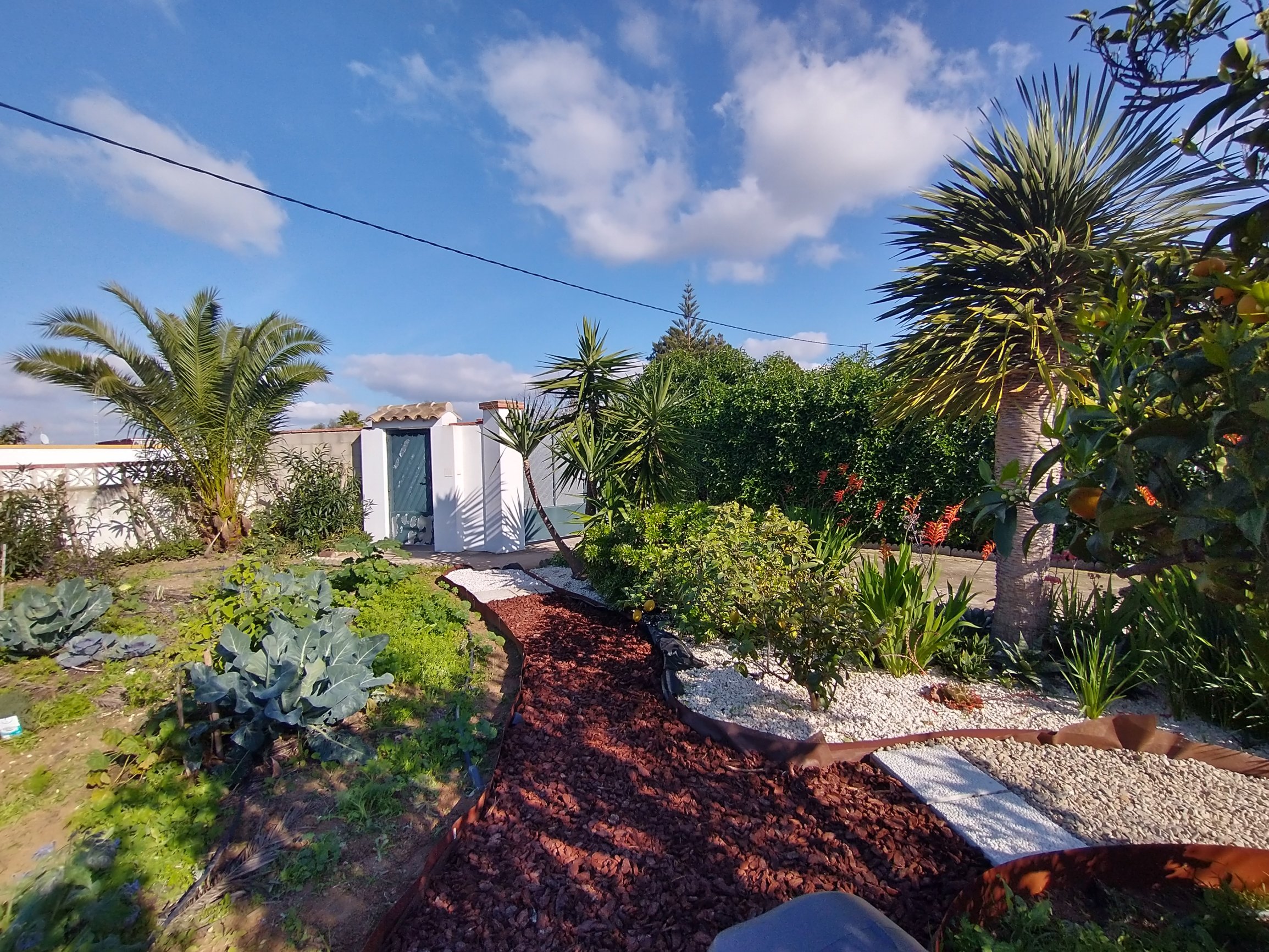 Andaluz Homes