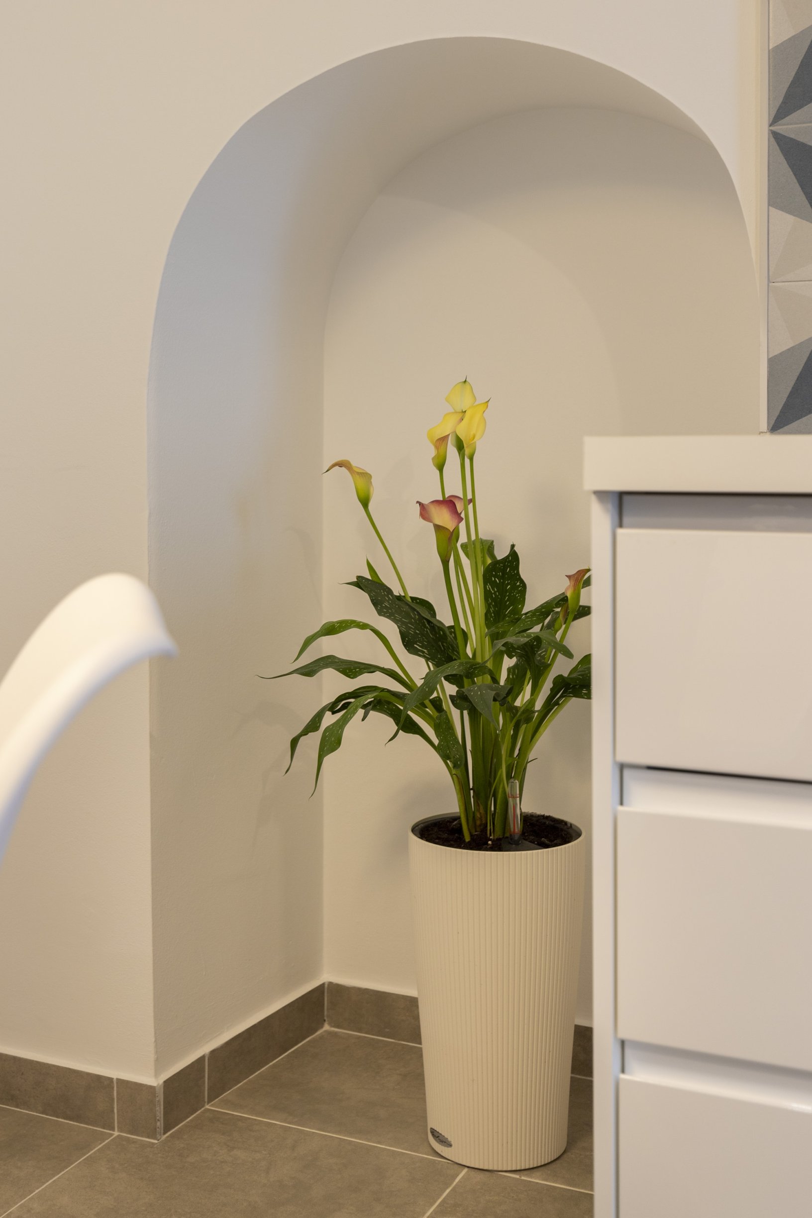 Andaluz Homes