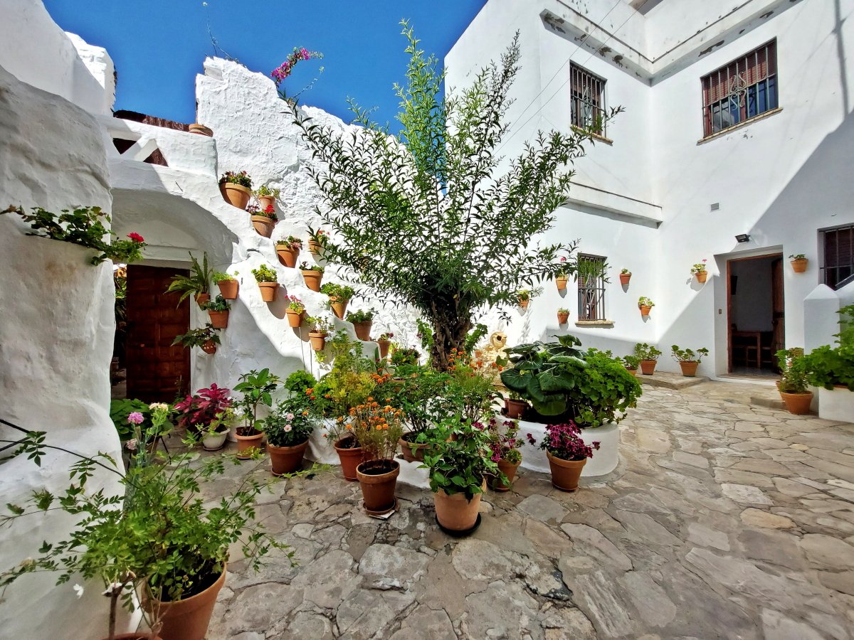 Andaluz Homes