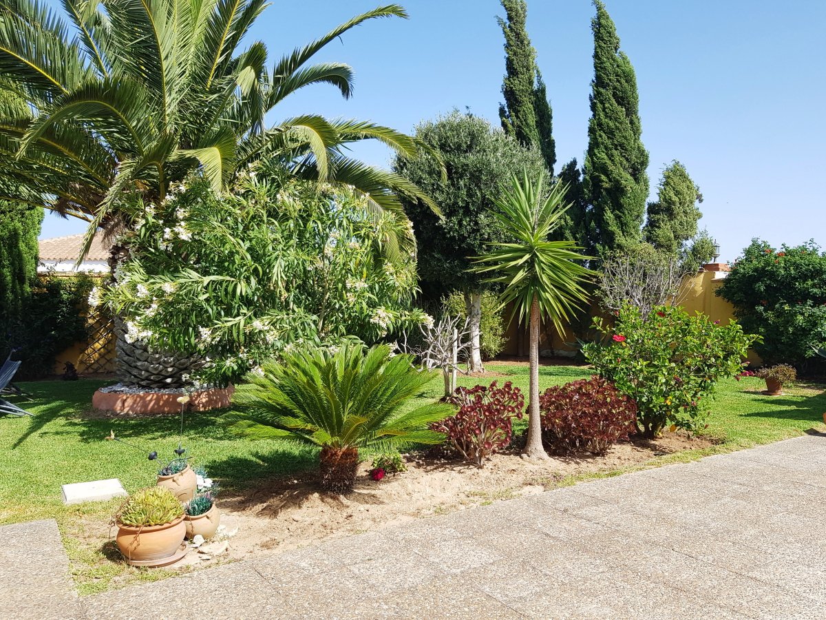 Andaluz Homes