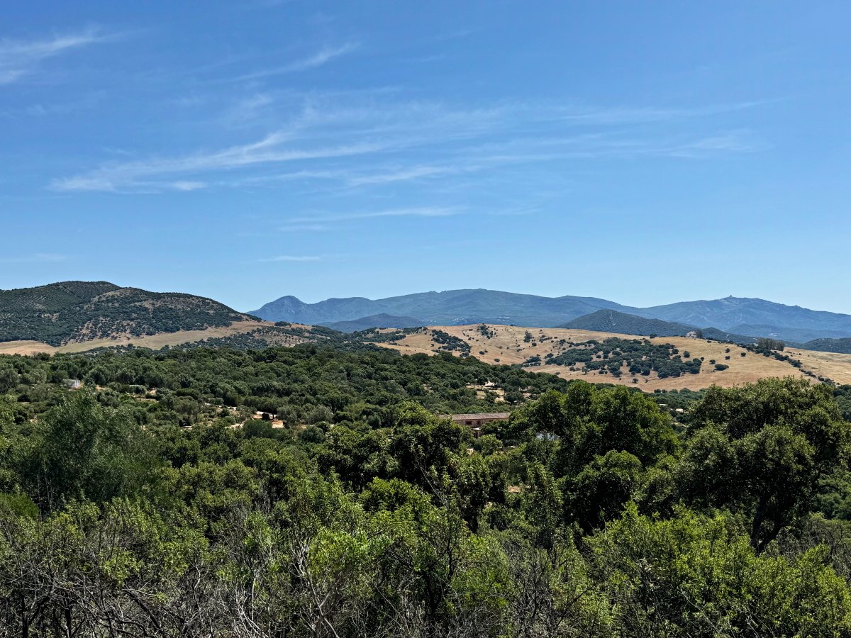 Andaluz Homes