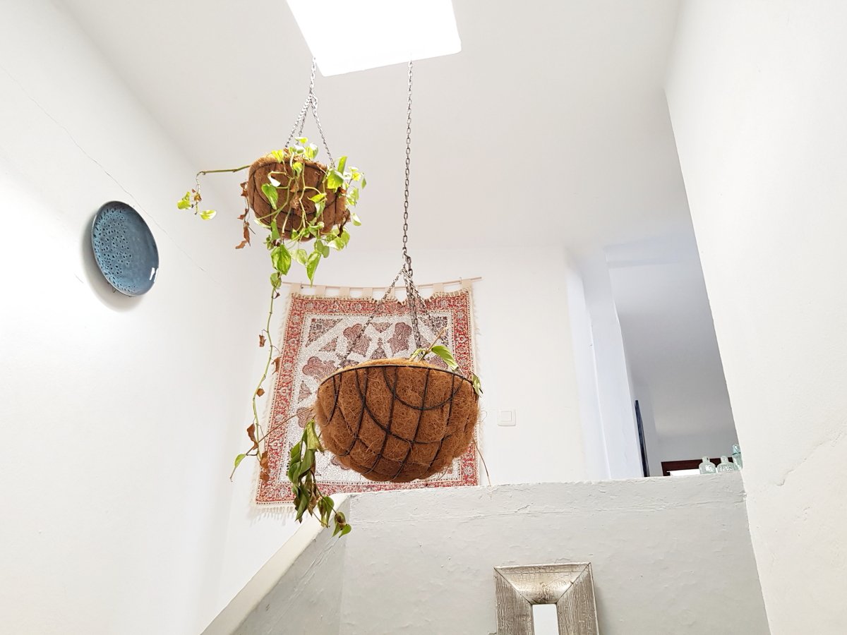 Andaluz Homes