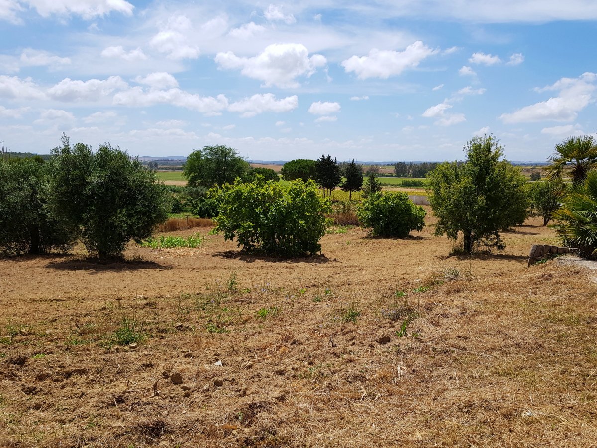 Andaluz Homes