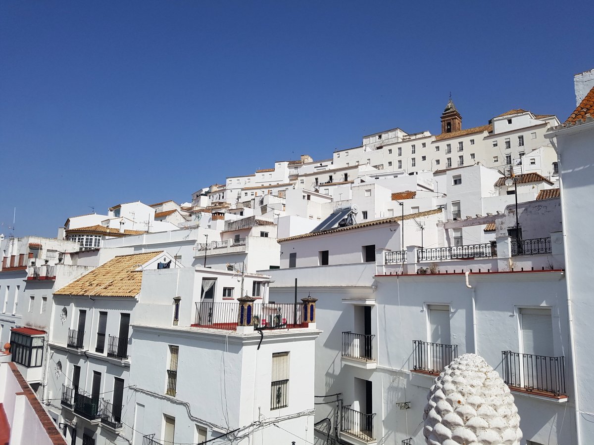 Andaluz Homes
