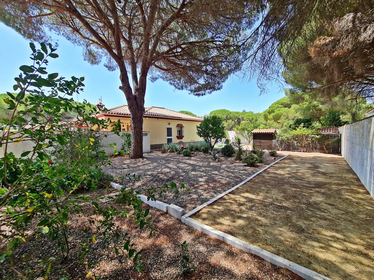 Andaluz Homes
