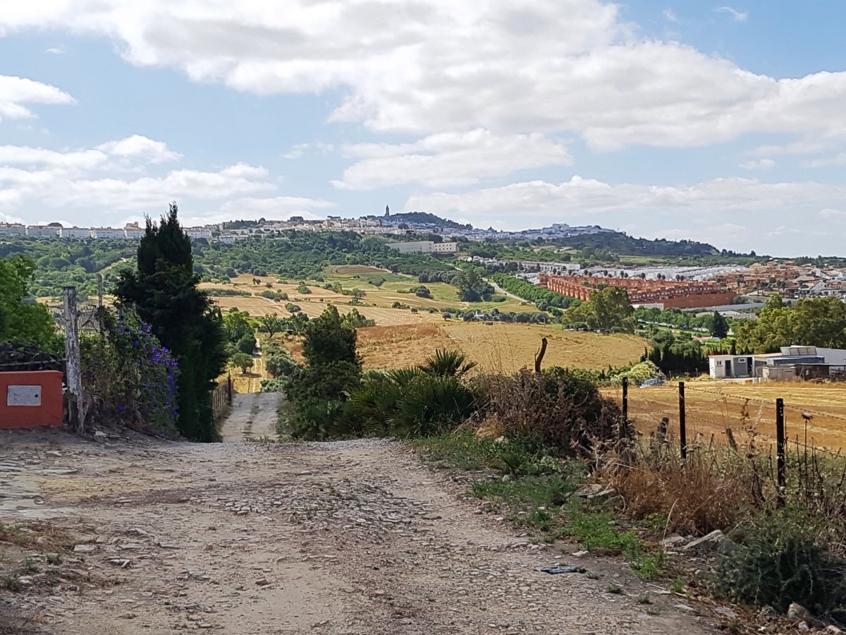 Andaluz Homes