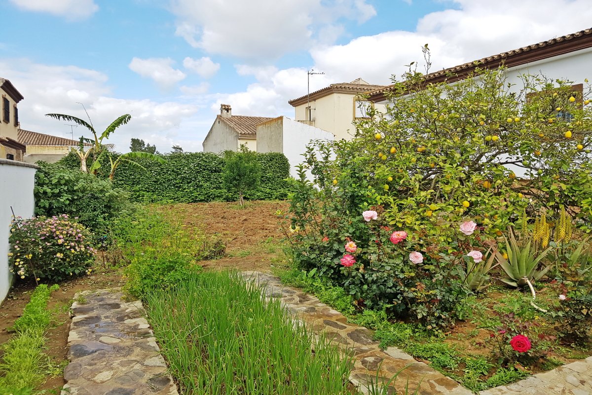 Andaluz Homes
