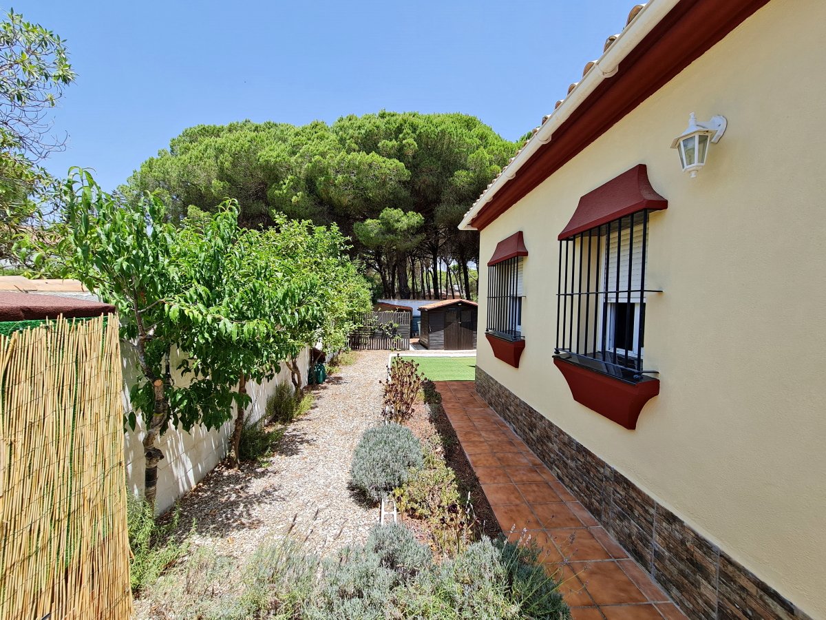 Andaluz Homes