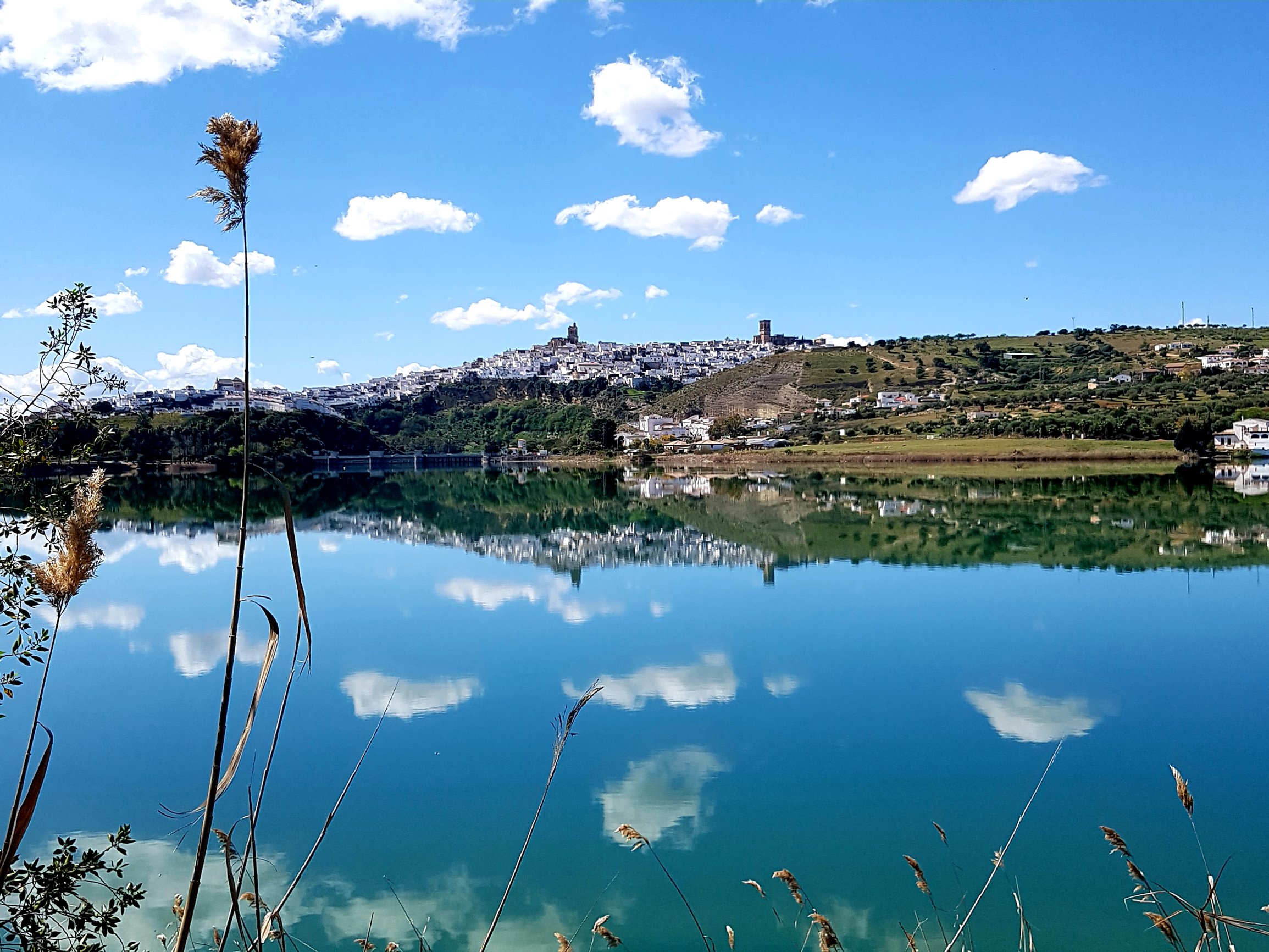Andaluz Homes