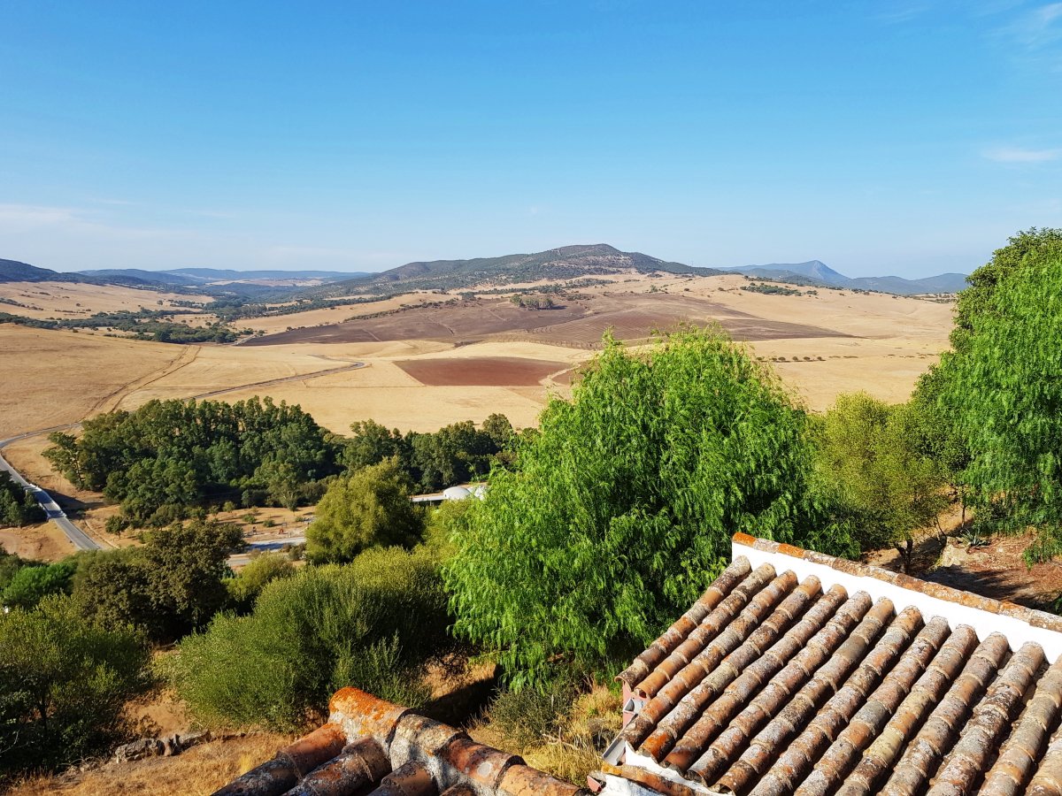 Andaluz Homes