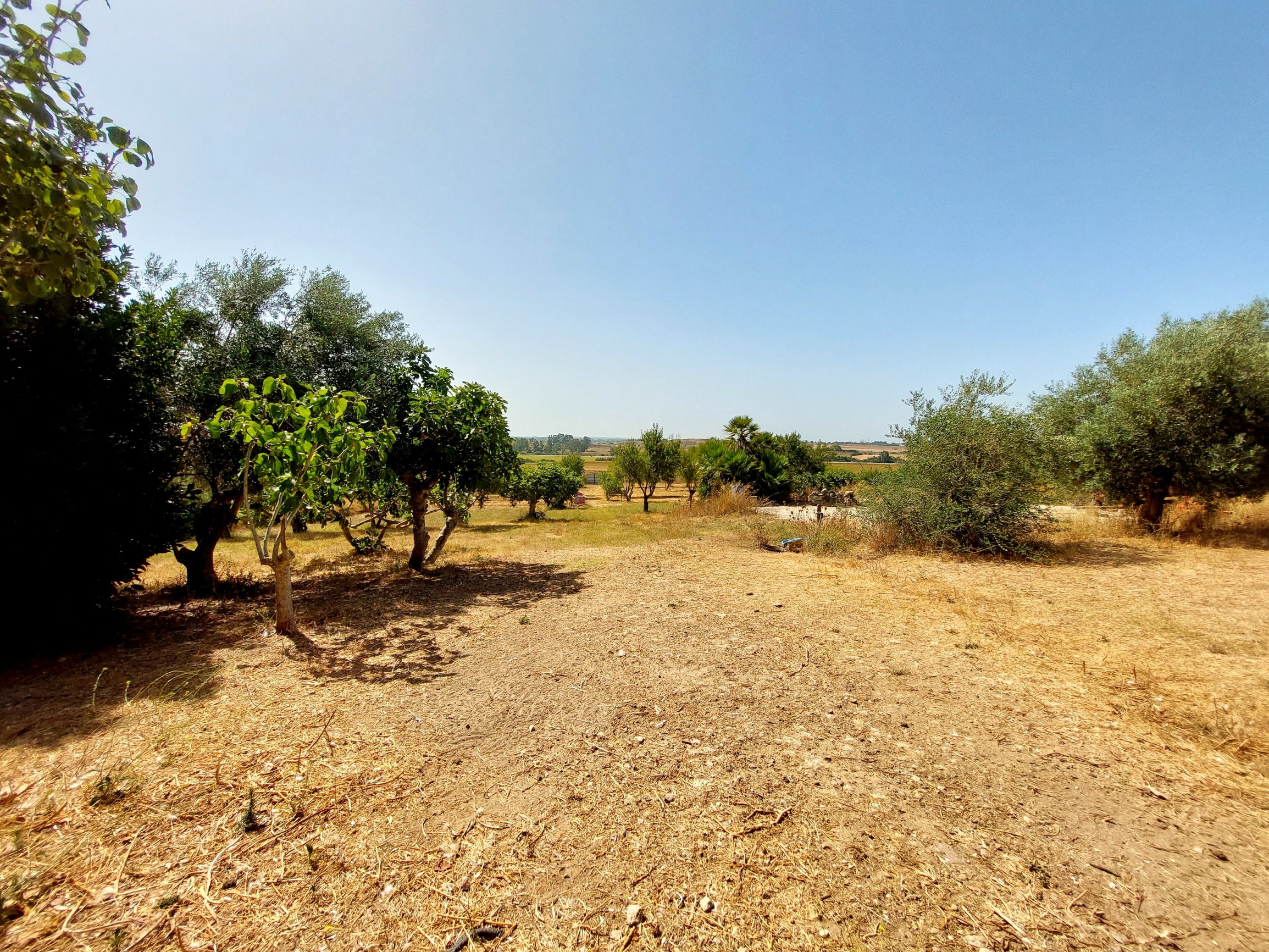 Andaluz Homes